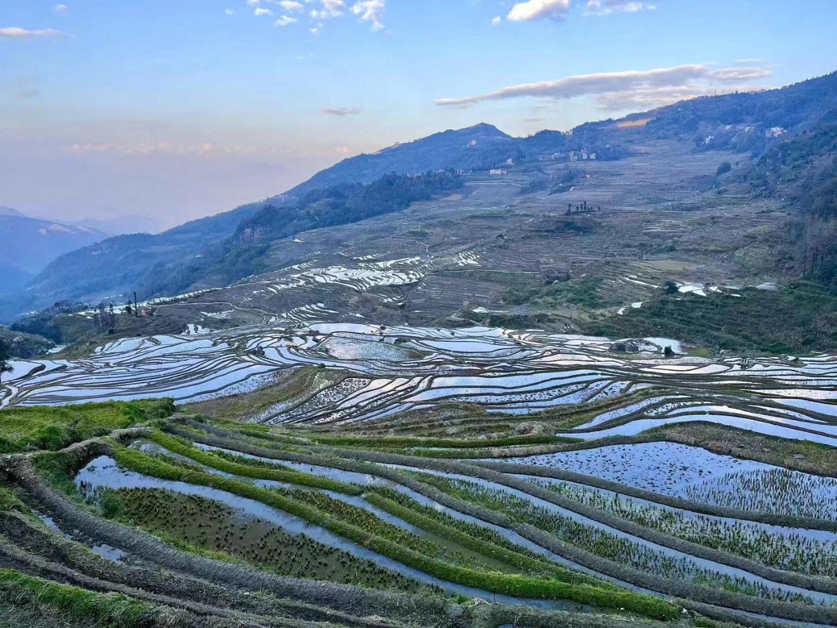 Yuanyang Flower And Horse Inn Extérieur photo